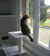Vive les oiseaux !!!