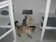 En famille, c‘est bien...
